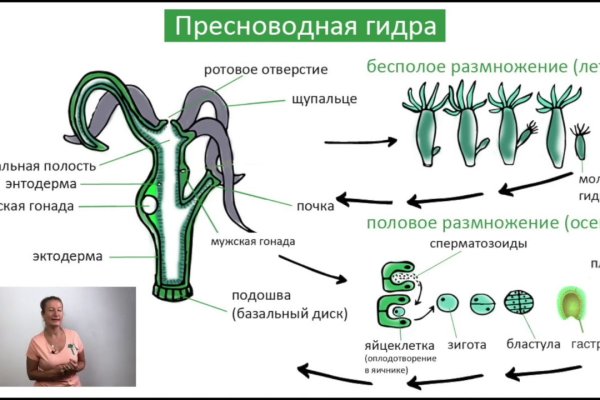 Как войти в кракен через тор