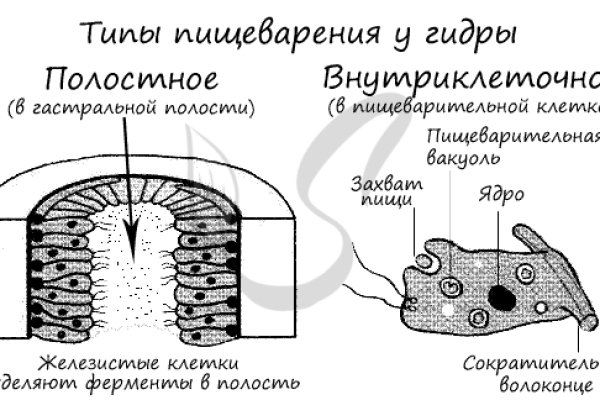 Ссылка на магазин кракен