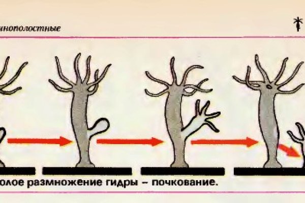 Оригинальная ссылка на кракен